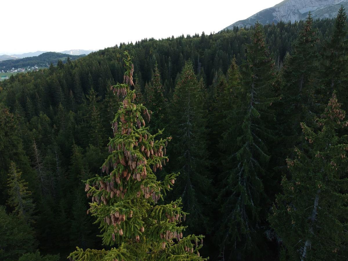 Holiday Home Lisica Zabljak  Luaran gambar